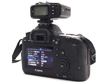 Canon EOS 6D 一眼レフデジタルカメラ ボディ 